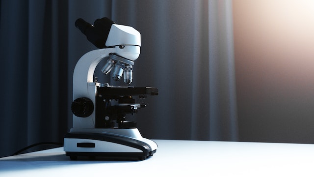 Mikroskop stereoskopowy na stoliku